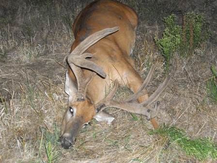 Velvet_Hunt_2012_430.JPG Image