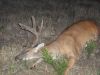 Velvet_Hunt_2012_429.JPG Image